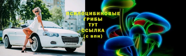 a pvp Абаза