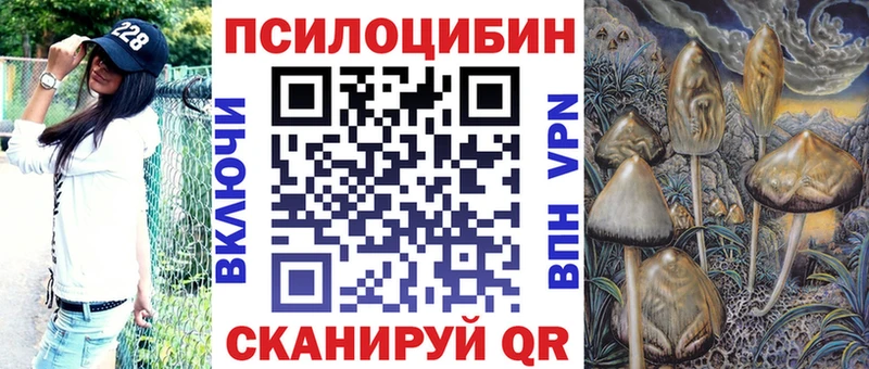 kraken как зайти Грозный Галлюциногенные грибы ЛСД