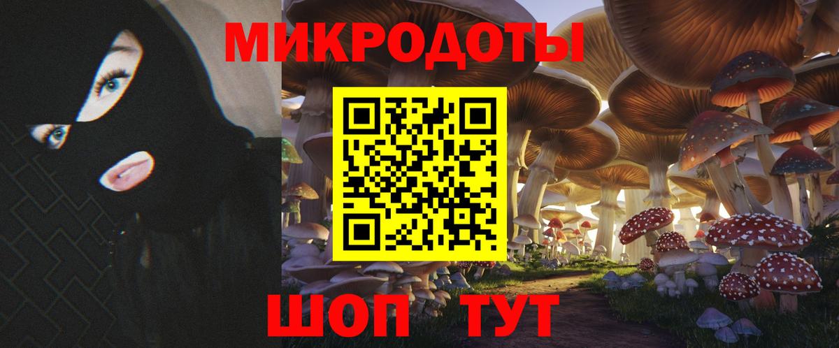 Галлюциногенные грибы Psilocybe  Вход с VPN  Грозный 